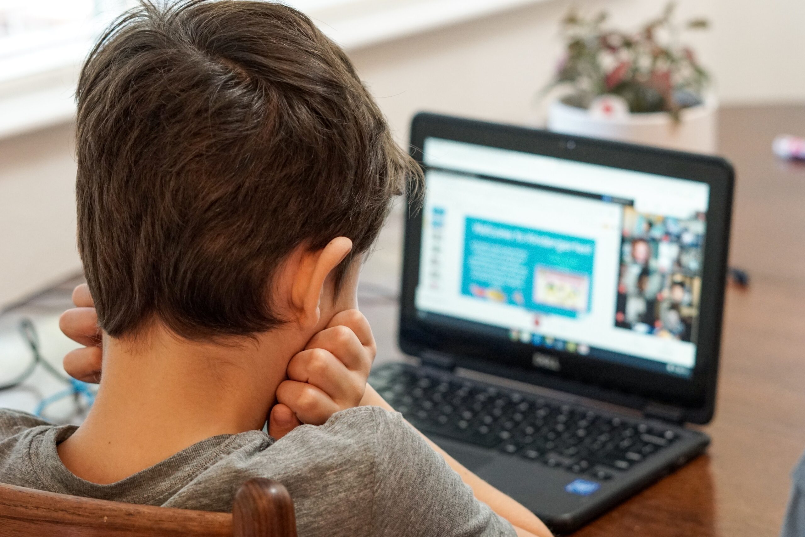 Kind volgt een digitale les op zijn laptop